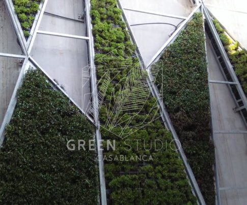 Green Studio - architecte paysagiste MUR VEGETAL
